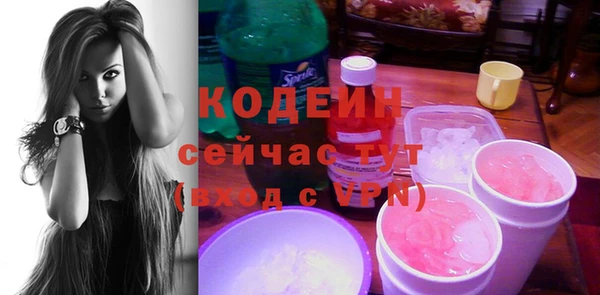индика Верхний Тагил