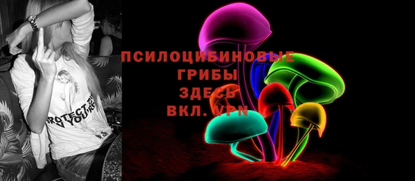 индика Верхний Тагил