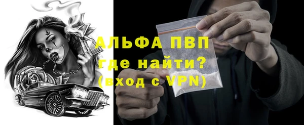 индика Верхний Тагил