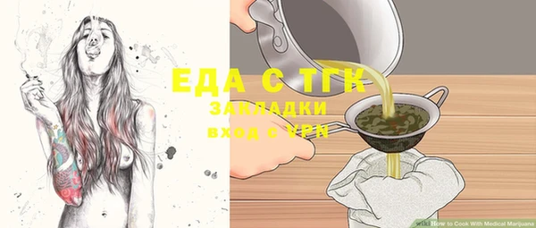 индика Верхний Тагил