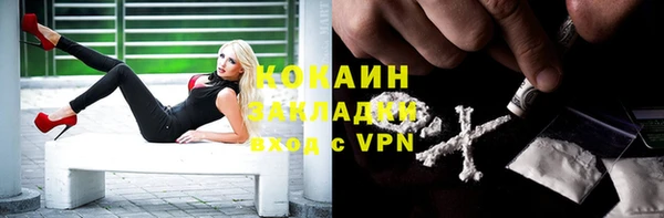 индика Верхний Тагил