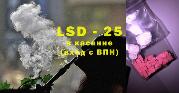 индика Верхний Тагил