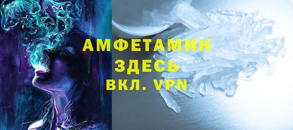 индика Верхний Тагил