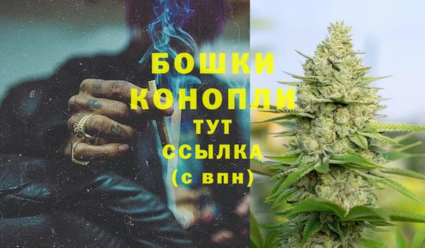 индика Верхний Тагил