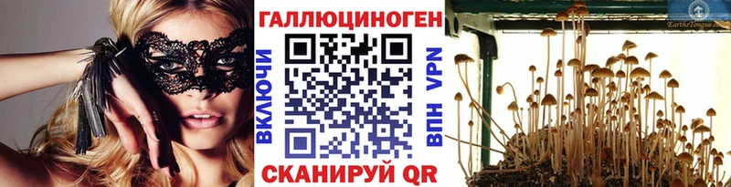 Галлюциногенные грибы Psilocybine cubensis Моршанск